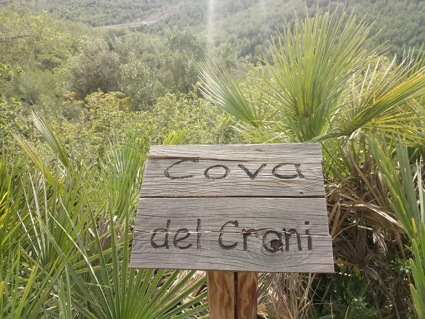 Cova del Crani