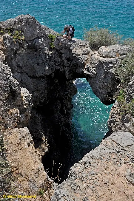Cova del Gos