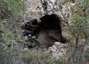 Cova Terril - 缩略图 1, Ulldecona