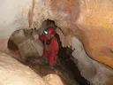 Cova-avenc de la Teuleria - Miniatura 3, Gandesa