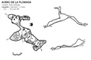 Avenc de la Plomada - Miniatura 1, Cervelló