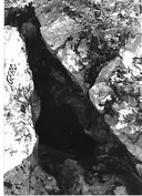 Avenc Veli Ii - Miniatura 2, Olesa de Bonesvalls