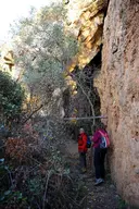 Cau de la Figuera - Miniatur 1, Torroella de Montgrí