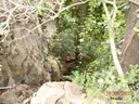 Avenc de la Morella - Miniatura 5, Begues