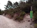 Avenc de la Picossa - Miniatura 3, Móra d'Ebre