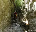 Esquerda Gran de Picorandan - Thumbnail 9, Capafonts
