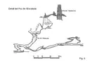 Forat de Riu Algars - Thumbnail 11, Alfara de Carles