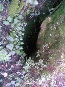 Avenc de la Font Freda - Miniatura 2, Mura