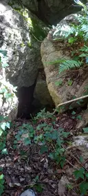 Avenc dels Talpets - Thumbnail 1, Vilaverd
