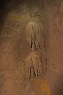 Tuta de Vima - 缩略图 4, Cava