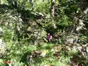 Forats del Vent de Ridolaina - Miniatura 7, Montellà i Martinet