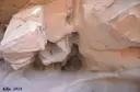 Coves Nº2-3 de Can Mas - Thumbnail 2, Torrelles de Llobregat