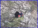 Forat de Riu Algars - Thumbnail 1, Alfara de Carles