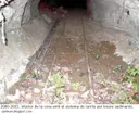 Cova de les Valls - Miniatura 9, Tavertet