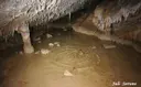 Cova-avenc del Mas d'en Toni - Miniatura 12, Mont-ral