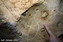 Cova d'en Peixet - Miniatura 9, Febró, La