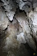 Cova Petita - Miniatura 4, Tremp