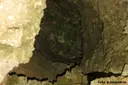 Avenc Ps-2 - Thumbnail 3, Vallirana