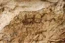 Cova dels Vilars - Thumbnail 2, Os de Balaguer