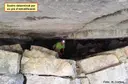 Cova dels Encantats de la Massanella - Миниатюра 4, Albanyà