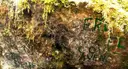 Forat de Cal Noi - Miniatura 3, Camprodon