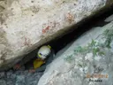 Cova de l'Esquerda - 缩略图 3, Arbolí
