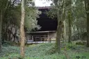 Cova de l'Arbreda - Miniatura 2, Serinyà