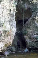 Balma del Pont Vell - Miniatura 1, Sant Feliu de Pallerols