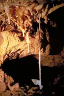 Cova Marigot - Thumbnail 8, Benifallet