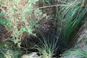 Pou de les Agulles - Miniatura 1, Begues