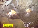 Cova de la Coma d'olla - صورة مصغرة 3, Ogassa