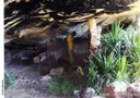 Cova Nº1 del Moro - Miniatura 3, Granadella, La