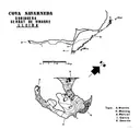 Cova Savarneda - Miniatura 2, Soriguera