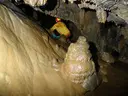 Cova de Rialb - Miniature 6, Queralbs