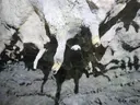 Cova del Pastor - Thumbnail 7, Ulldecona