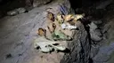 Querant de la Coma d'en Gener - Thumbnail 4, Vilanova de Meià