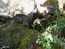 Cau de les Raimeres - Thumbnail 1, Torroella de Montgrí