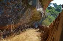 Balma de les Panses - Miniatura 2, Talamanca