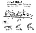 Cova Roja - Miniatura 1, Matadepera