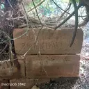 Cova dels Ullals de la Carrova - Miniatura 2, Amposta
