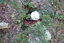 Avenc Petit dels Talpets - Miniatura 3, Vilaverd