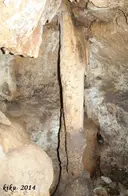 Grallera Petita d'Alsamora - Thumbnail 5, Sant Esteve de la Sarga