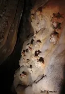 Avenc de Coll Balaguer - Miniatura 9, Vandellòs i l'Hospitalet de l'Infant