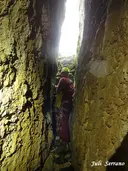 Graller Nº3 de la Pardina - Thumbnail 6, Àger