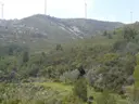 Cova de les Calobres - Miniatura 1, Perelló, El
