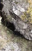 Avenc del Pitarell - Miniatura 1, Coll de Nargó