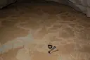 Balma de la Font del Begalot - Miniatura 5, Peramola