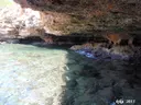 Cova del Llop Marí - صورة مصغرة 6, Ametlla de Mar, L'