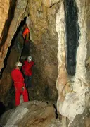 Cova de les Lloberes - صورة مصغرة 5, Llosses, Les