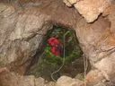Avenc Nou de l'ordal - Miniatura 3, Cervelló